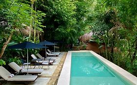 Piedra De Agua Palenque